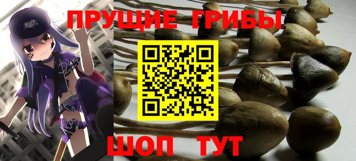 Усинск  продажа наркотиков  Вход с VPN  Галлюциногенные грибы ЛСД  Псилоцибиновые грибы Cubensis 